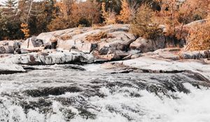 Preview wallpaper river, stream, water, stones, trees