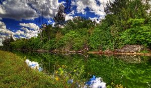 Preview wallpaper river, summer, sun, grass, trees