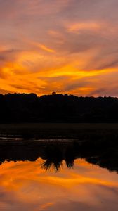 Preview wallpaper river, sunset, bushes, grass, silhouette, reflection