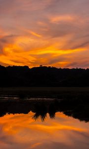 Preview wallpaper river, sunset, bushes, grass, silhouette, reflection