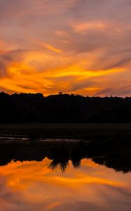 Preview wallpaper river, sunset, bushes, grass, silhouette, reflection