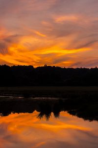 Preview wallpaper river, sunset, bushes, grass, silhouette, reflection