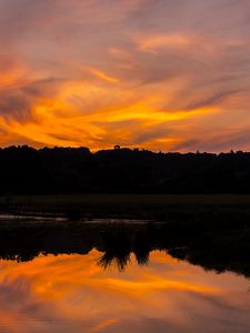 Preview wallpaper river, sunset, bushes, grass, silhouette, reflection