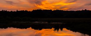Preview wallpaper river, sunset, bushes, grass, silhouette, reflection