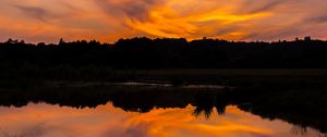 Preview wallpaper river, sunset, bushes, grass, silhouette, reflection