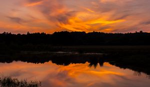 Preview wallpaper river, sunset, bushes, grass, silhouette, reflection