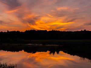 Preview wallpaper river, sunset, bushes, grass, silhouette, reflection