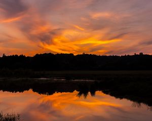 Preview wallpaper river, sunset, bushes, grass, silhouette, reflection