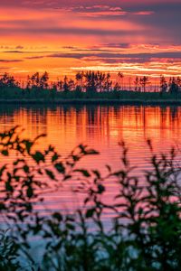 Preview wallpaper river, sunset, horizon, branches, leaves, blur