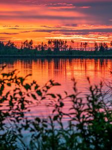 Preview wallpaper river, sunset, horizon, branches, leaves, blur