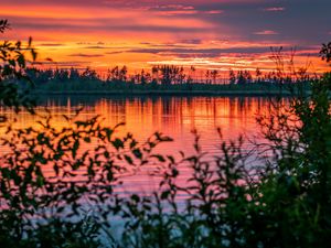 Preview wallpaper river, sunset, horizon, branches, leaves, blur