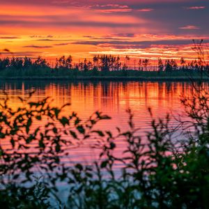 Preview wallpaper river, sunset, horizon, branches, leaves, blur