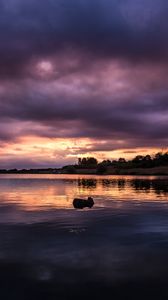 Preview wallpaper river, sunset, trees, clouds, twilight