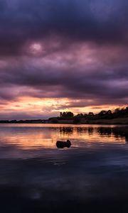 Preview wallpaper river, sunset, trees, clouds, twilight