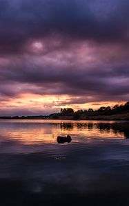 Preview wallpaper river, sunset, trees, clouds, twilight