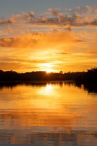 Preview wallpaper river, sunset, trees, silhouettes, clouds