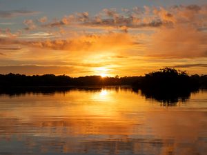 Preview wallpaper river, sunset, trees, silhouettes, clouds