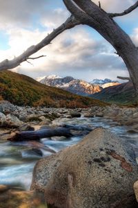 Preview wallpaper river, tree, dead, snag, stones, mountains, clouds, murmur