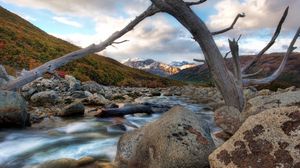 Preview wallpaper river, tree, dead, snag, stones, mountains, clouds, murmur