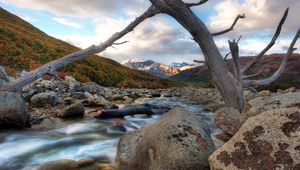 Preview wallpaper river, tree, dead, snag, stones, mountains, clouds, murmur