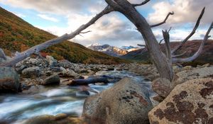 Preview wallpaper river, tree, dead, snag, stones, mountains, clouds, murmur