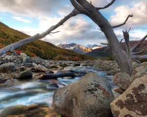 Preview wallpaper river, tree, dead, snag, stones, mountains, clouds, murmur