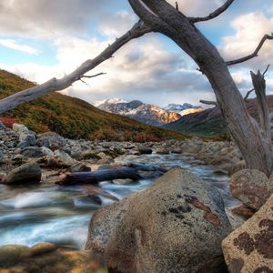 Preview wallpaper river, tree, dead, snag, stones, mountains, clouds, murmur