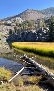Preview wallpaper river, tree, mountains, nature, landscape