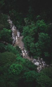 Preview wallpaper river, trees, aerial view, stones, current