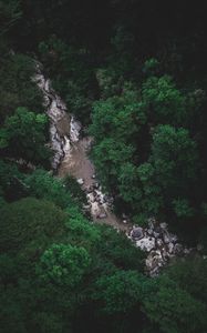 Preview wallpaper river, trees, aerial view, stones, current