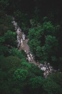 Preview wallpaper river, trees, aerial view, stones, current