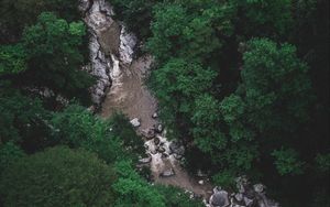 Preview wallpaper river, trees, aerial view, stones, current