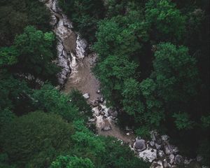 Preview wallpaper river, trees, aerial view, stones, current