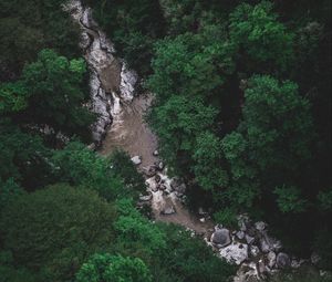 Preview wallpaper river, trees, aerial view, stones, current