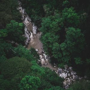 Preview wallpaper river, trees, aerial view, stones, current