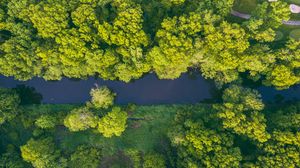 Preview wallpaper river, trees, aerial view, green