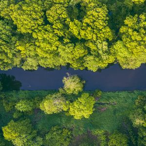 Preview wallpaper river, trees, aerial view, green