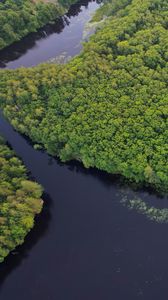 Preview wallpaper river, trees, aerial view, nature