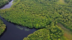 Preview wallpaper river, trees, aerial view, nature