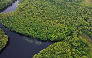Preview wallpaper river, trees, aerial view, nature