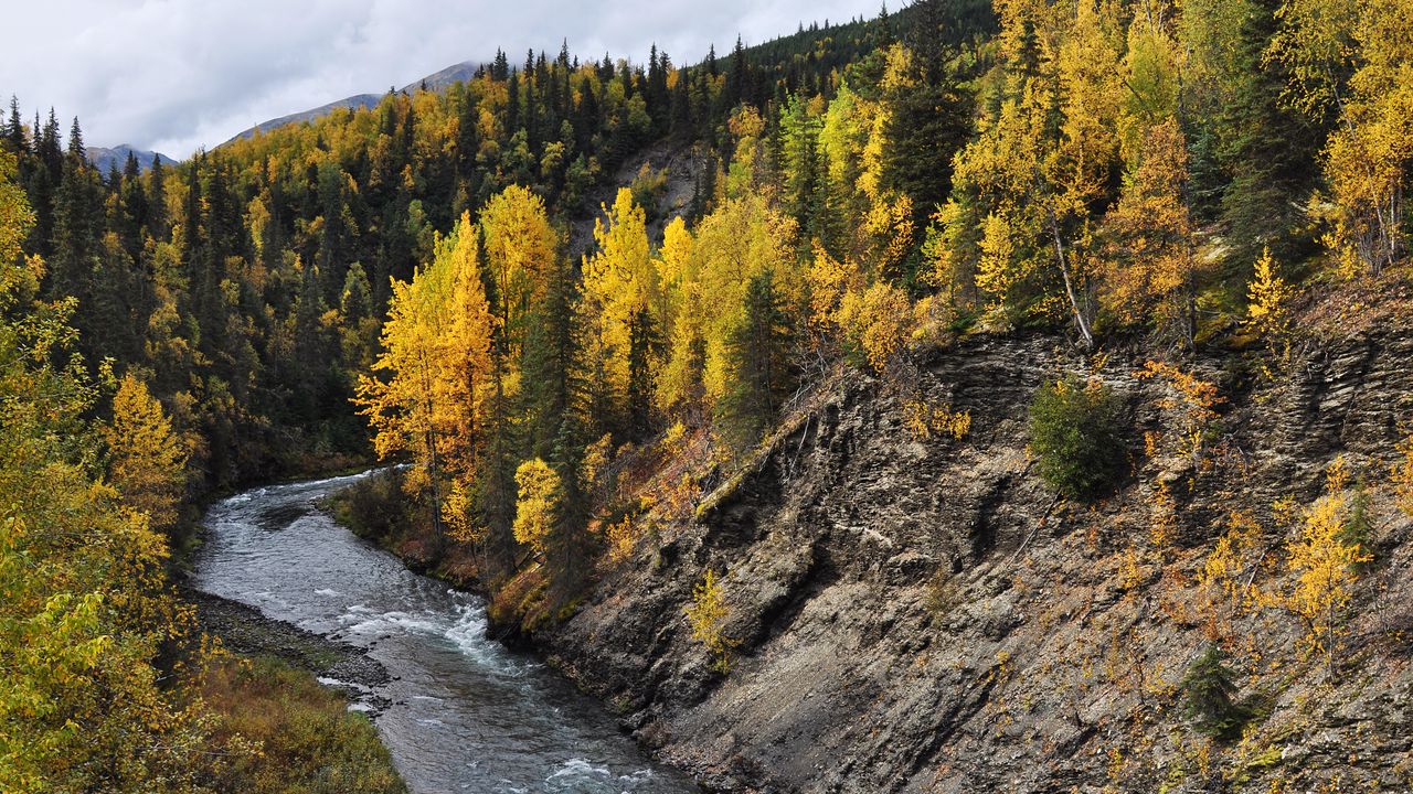 Wallpaper river, trees, autumn, forest, water hd, picture, image