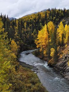 Preview wallpaper river, trees, autumn, forest, water