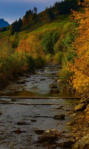 Preview wallpaper river, trees, autumn, stream
