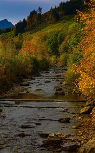 Preview wallpaper river, trees, autumn, stream