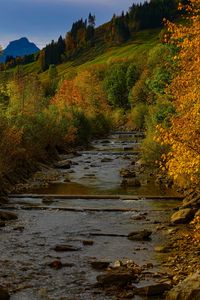 Preview wallpaper river, trees, autumn, stream