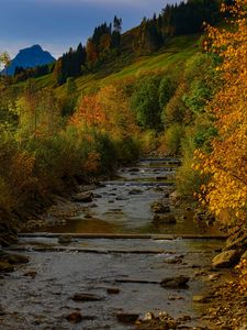 Preview wallpaper river, trees, autumn, stream