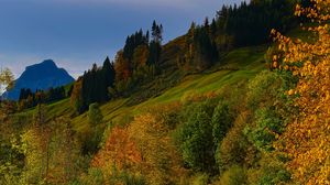 Preview wallpaper river, trees, autumn, stream