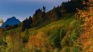 Preview wallpaper river, trees, autumn, stream