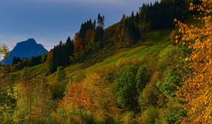 Preview wallpaper river, trees, autumn, stream