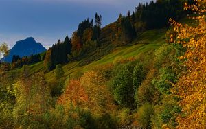 Preview wallpaper river, trees, autumn, stream